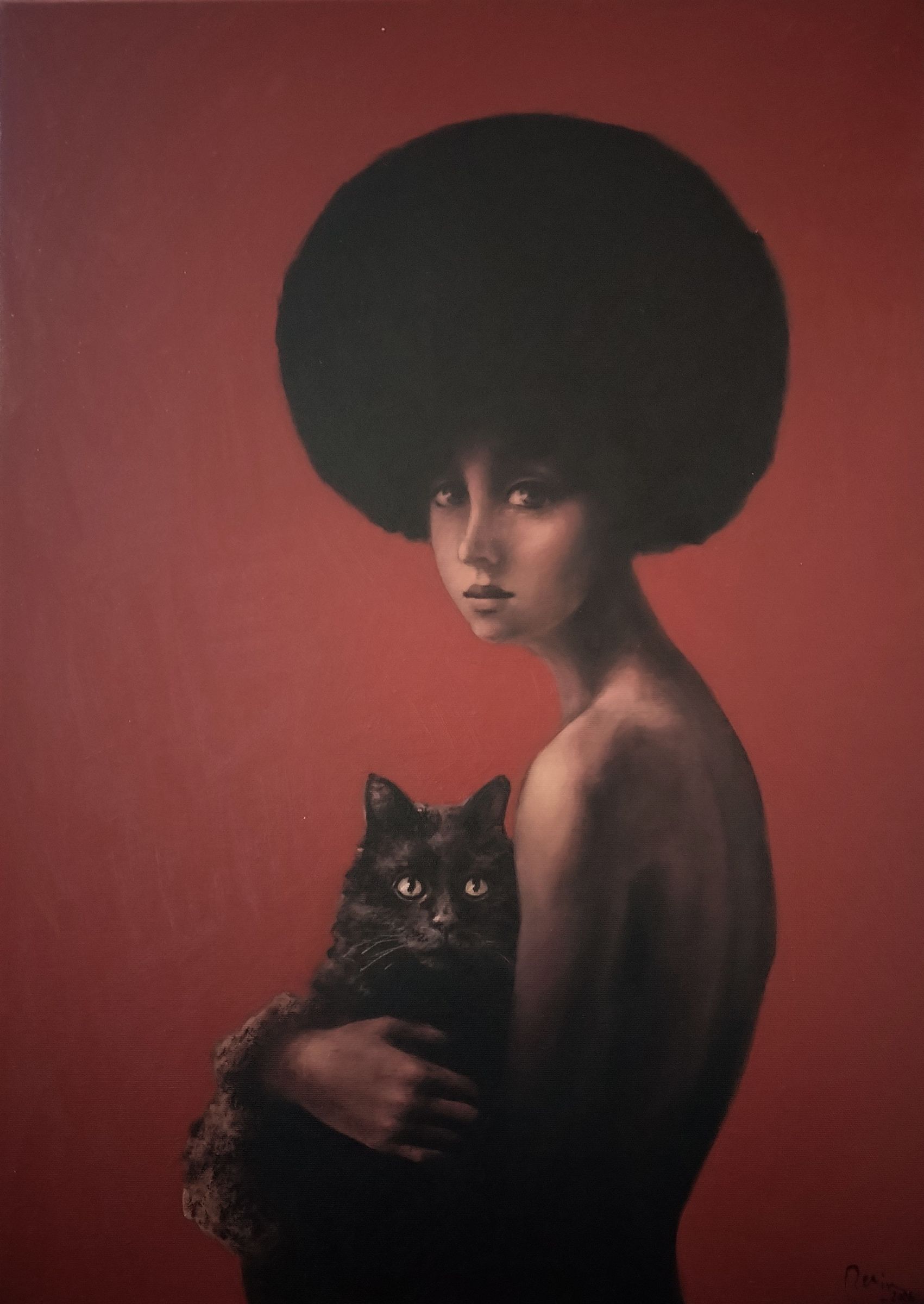 Black cat